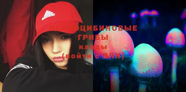 ПСИЛОЦИБИНОВЫЕ ГРИБЫ Верхнеуральск