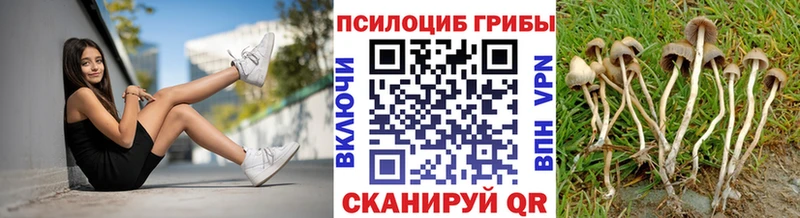 где найти наркотики Стерлитамак Галлюциногенные грибы Cubensis